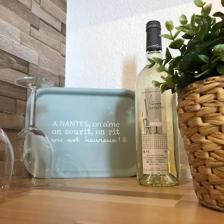 Cosychic Flat Near The Castel And Train Station * Nantes